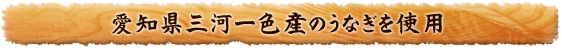 愛知県三河一色産のうなぎを使用